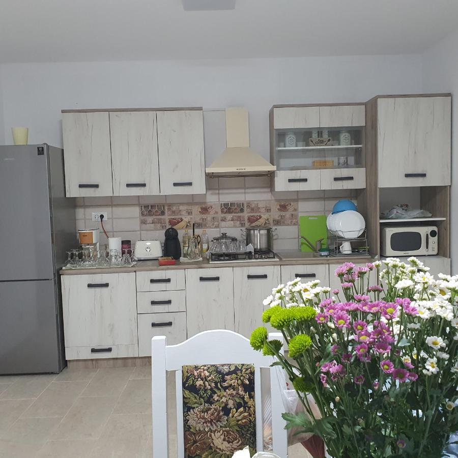Casa Sofia Appartement Baltatesti Buitenkant foto